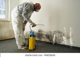 Asbestos and Lead Testing During Mold Inspection